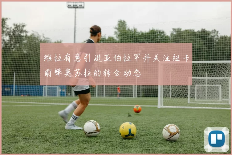 维拉有意引进亚伯拉罕并关注纽卡前锋奥苏拉的转会动态