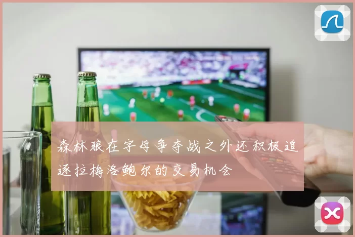 森林狼在字母争夺战之外还积极追逐拉梅洛鲍尔的交易机会