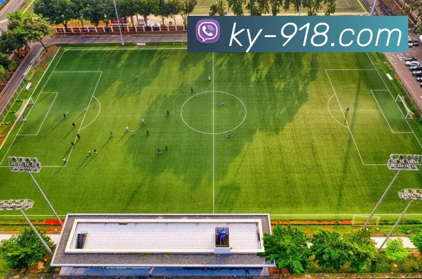 App Interface Preview